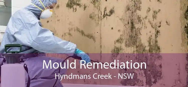 Mould Remediation Hyndmans Creek - NSW