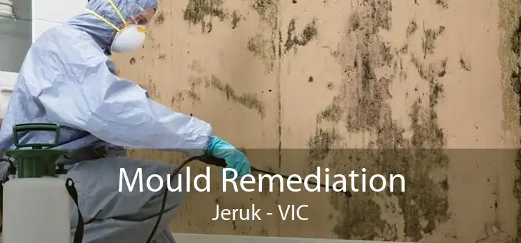 Mould Remediation Jeruk - VIC