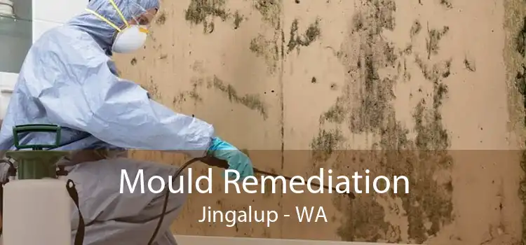 Mould Remediation Jingalup - WA