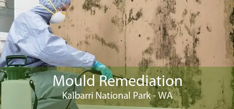 Mould Remediation Kalbarri National Park - WA