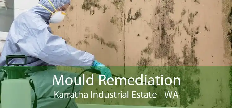 Mould Remediation Karratha Industrial Estate - WA