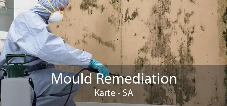 Mould Remediation Karte - SA