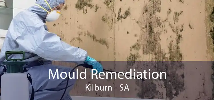 Mould Remediation Kilburn - SA