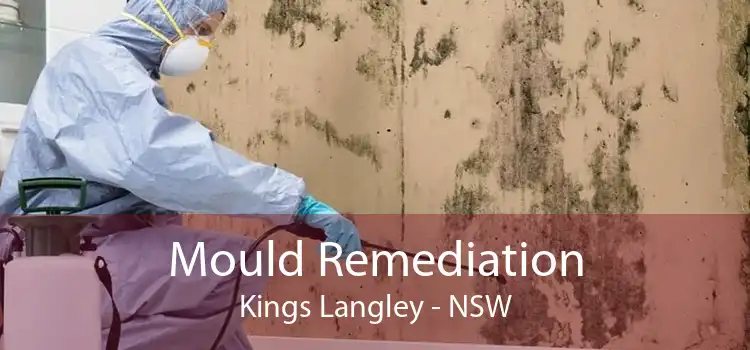Mould Remediation Kings Langley - NSW