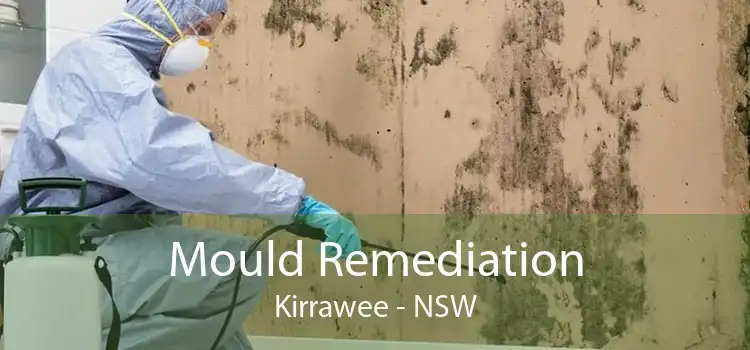 Mould Remediation Kirrawee - NSW