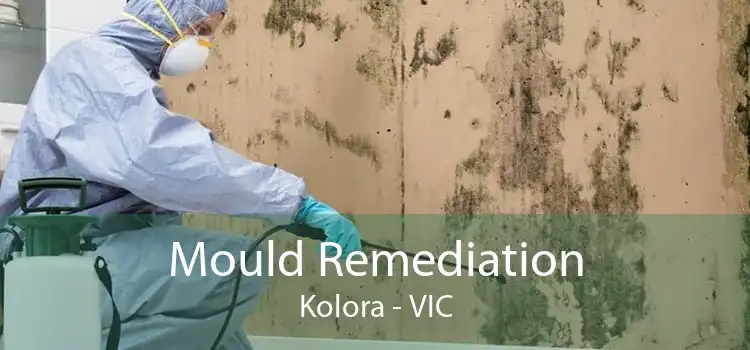 Mould Remediation Kolora - VIC