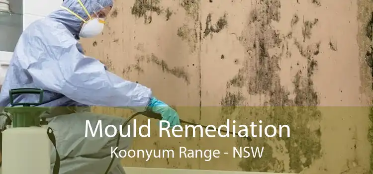 Mould Remediation Koonyum Range - NSW