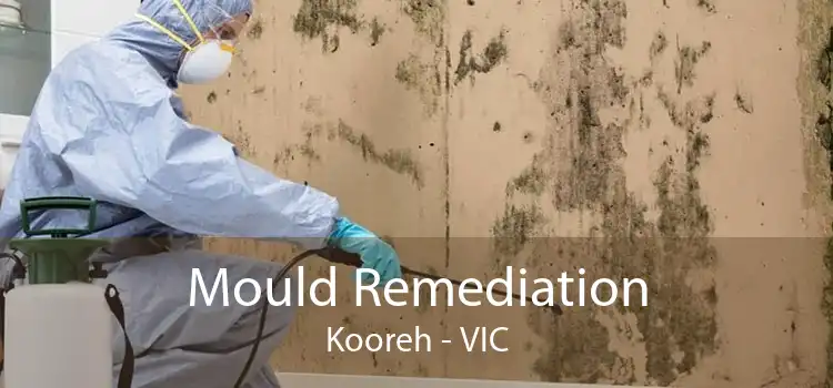 Mould Remediation Kooreh - VIC