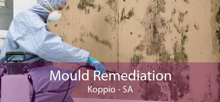 Mould Remediation Koppio - SA