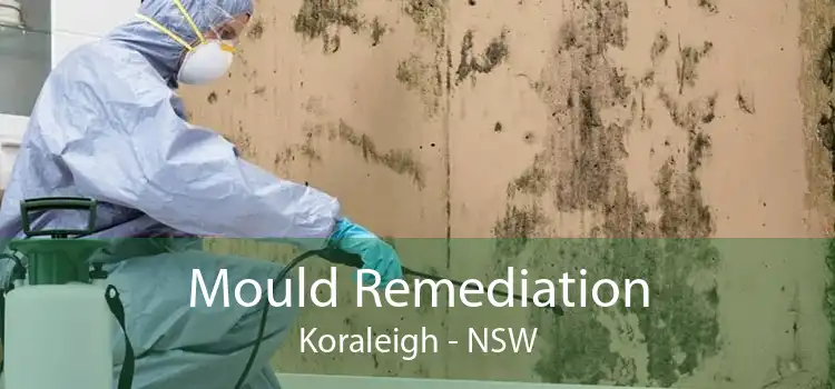 Mould Remediation Koraleigh - NSW
