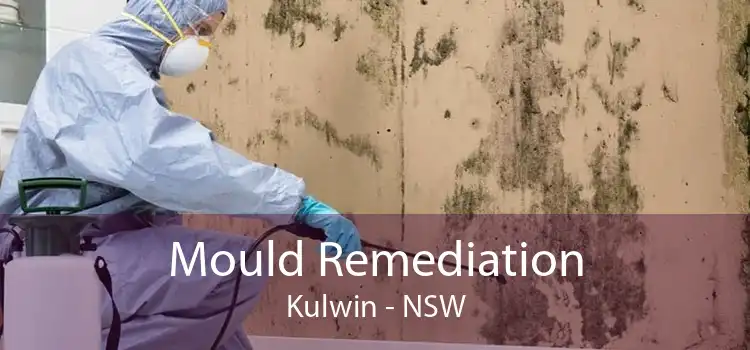 Mould Remediation Kulwin - NSW