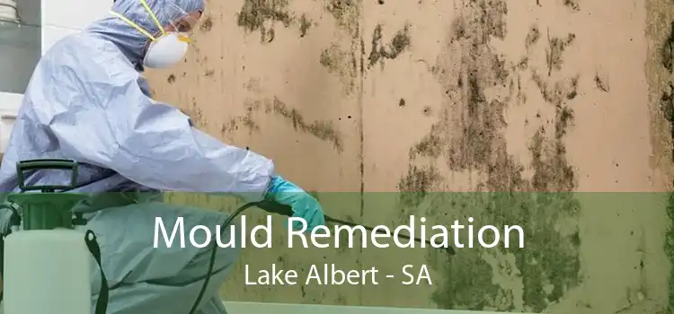 Mould Remediation Lake Albert - SA
