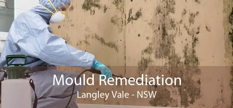 Mould Remediation Langley Vale - NSW