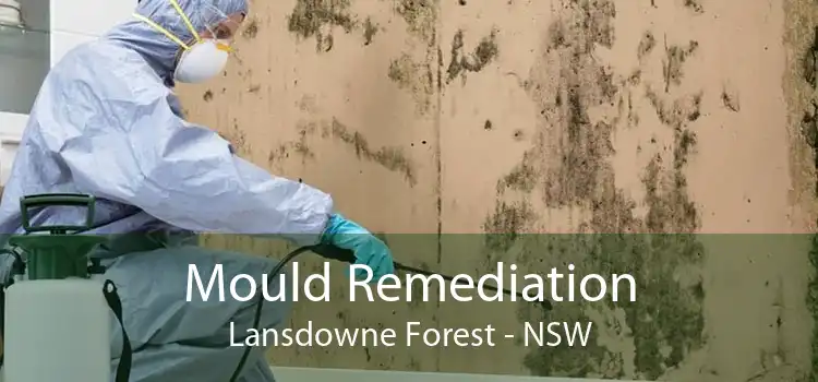 Mould Remediation Lansdowne Forest - NSW
