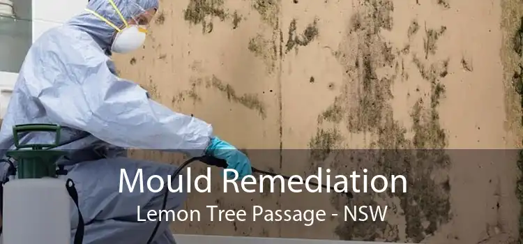 Mould Remediation Lemon Tree Passage - NSW