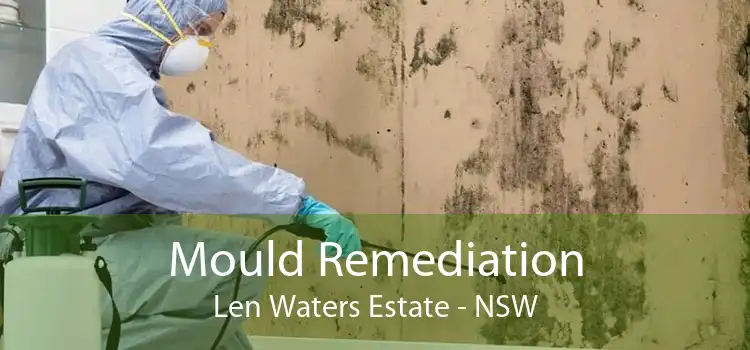 Mould Remediation Len Waters Estate - NSW