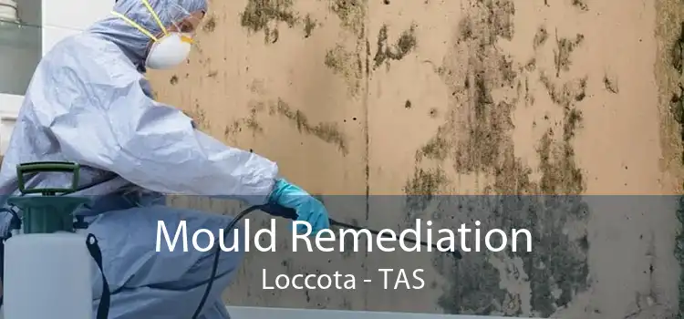 Mould Remediation Loccota - TAS