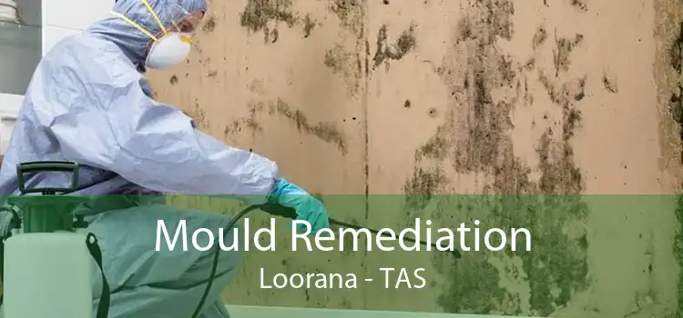 Mould Remediation Loorana - TAS