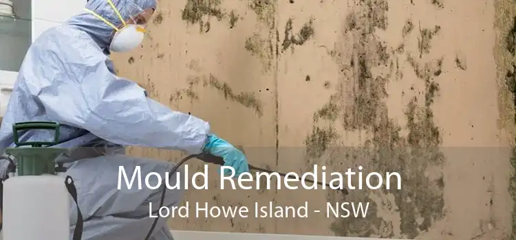 Mould Remediation Lord Howe Island - NSW