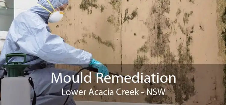 Mould Remediation Lower Acacia Creek - NSW