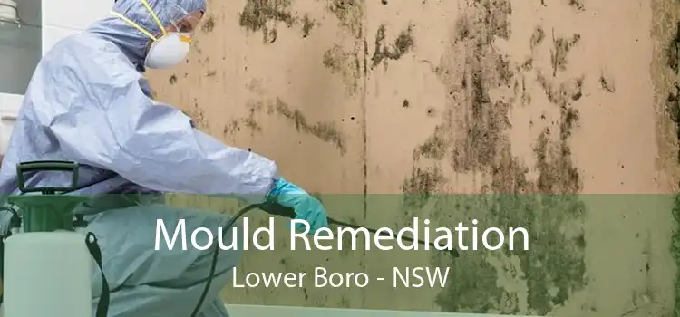 Mould Remediation Lower Boro - NSW