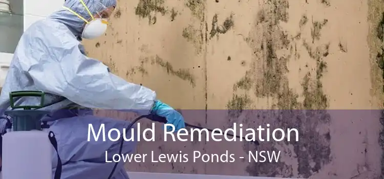 Mould Remediation Lower Lewis Ponds - NSW
