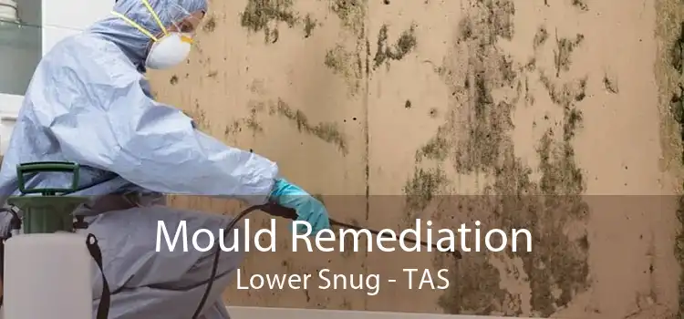 Mould Remediation Lower Snug - TAS