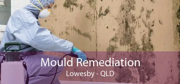 Mould Remediation Lowesby - QLD