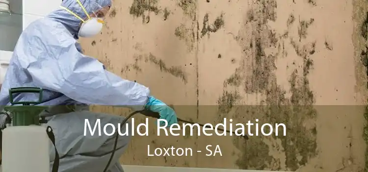 Mould Remediation Loxton - SA