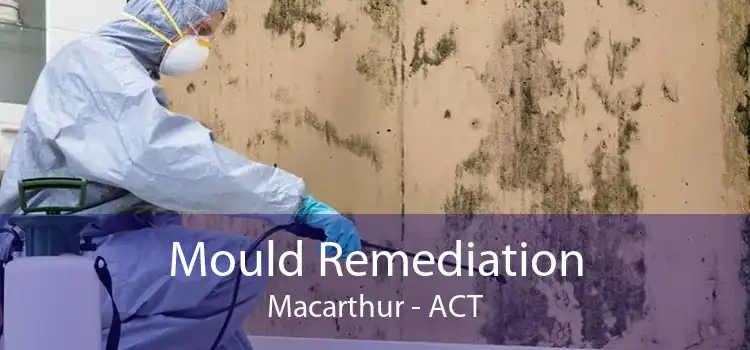 Mould Remediation Macarthur - ACT
