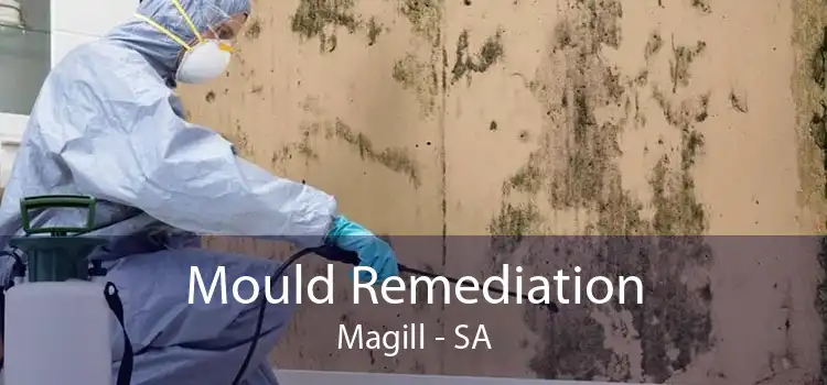 Mould Remediation Magill - SA