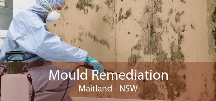 Mould Remediation Maitland - NSW