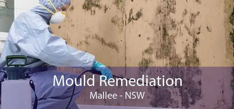 Mould Remediation Mallee - NSW