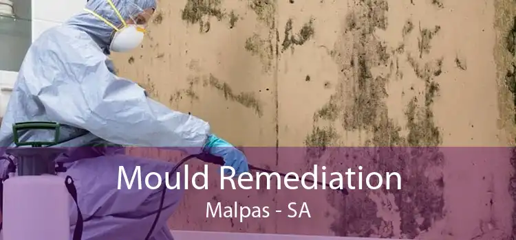 Mould Remediation Malpas - SA