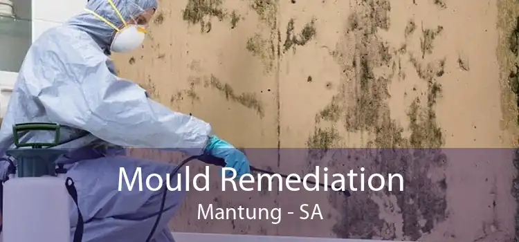 Mould Remediation Mantung - SA