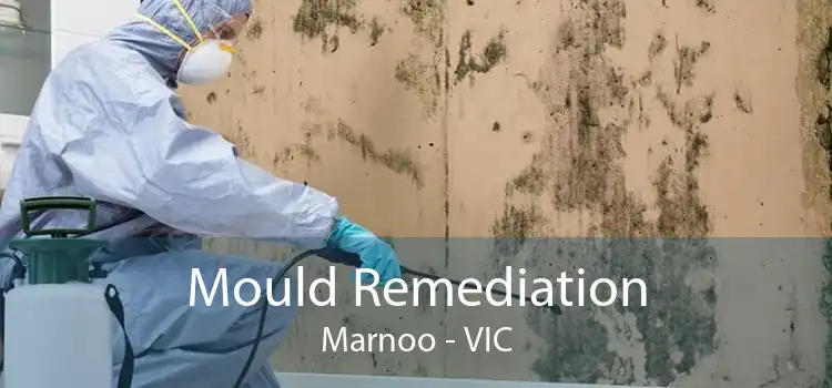Mould Remediation Marnoo - VIC
