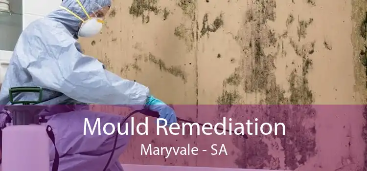 Mould Remediation Maryvale - SA