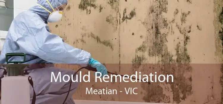 Mould Remediation Meatian - VIC