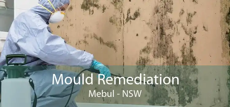 Mould Remediation Mebul - NSW