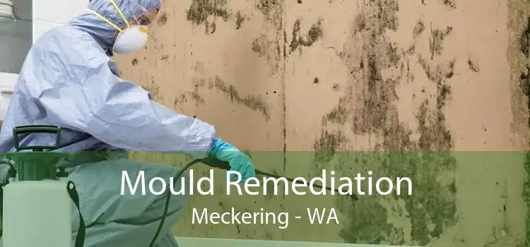Mould Remediation Meckering - WA