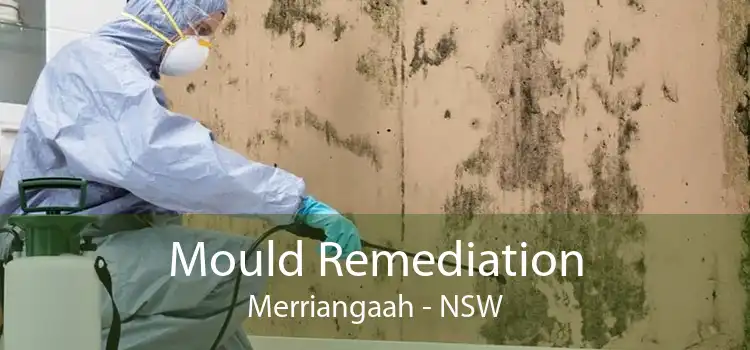 Mould Remediation Merriangaah - NSW