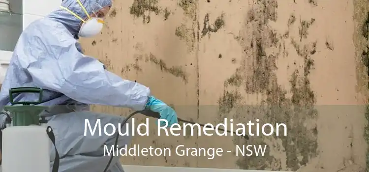 Mould Remediation Middleton Grange - NSW