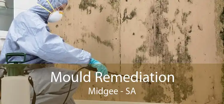 Mould Remediation Midgee - SA