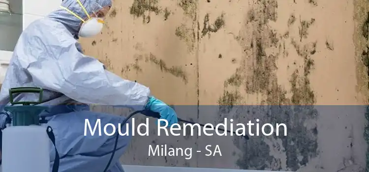 Mould Remediation Milang - SA