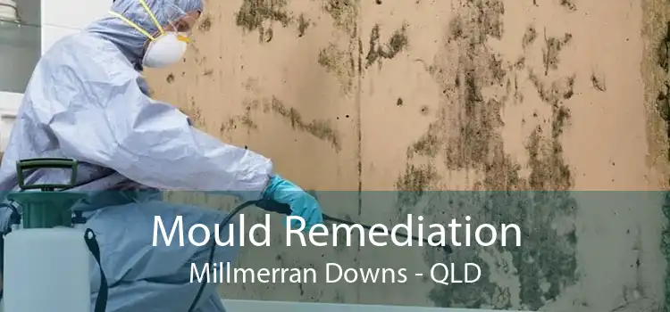 Mould Remediation Millmerran Downs - QLD