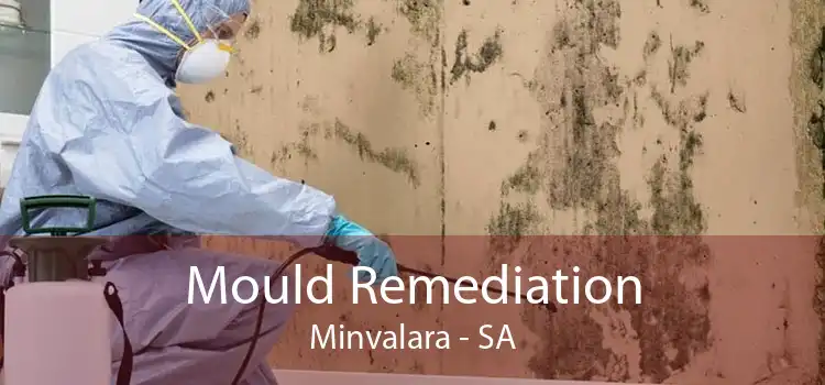 Mould Remediation Minvalara - SA