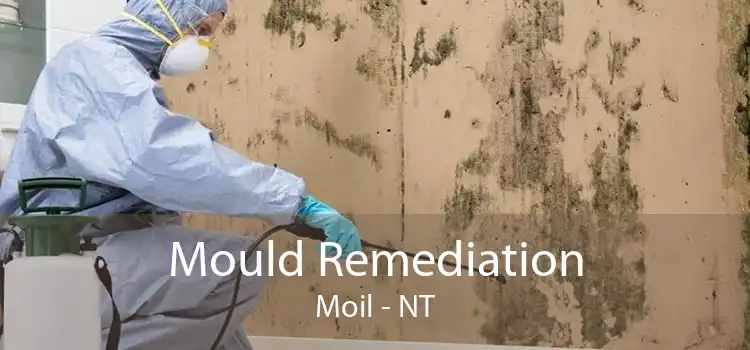 Mould Remediation Moil - NT