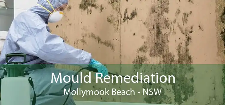 Mould Remediation Mollymook Beach - NSW