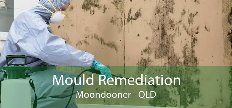 Mould Remediation Moondooner - QLD