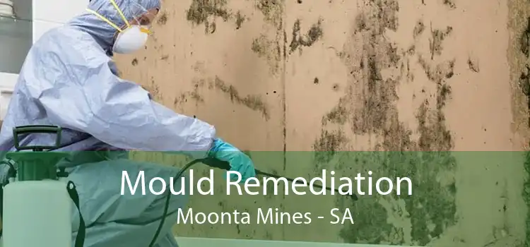Mould Remediation Moonta Mines - SA